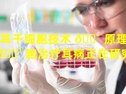 内耳干细胞技术 🌴 原理（干细 🌹 胞治疗耳病正在研究吗）